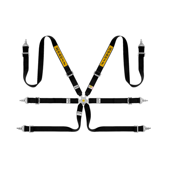 Sabelt 2x2 Steel Series 6-Point Racing Harness (2031 FIA Approval)