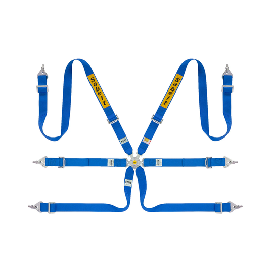 Sabelt 2x2 Steel Series 6-Point Racing Harness (2031 FIA Approval)